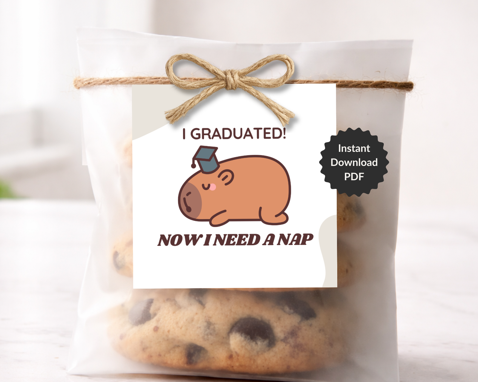 graduation gift tag printable graduation gift tag printable